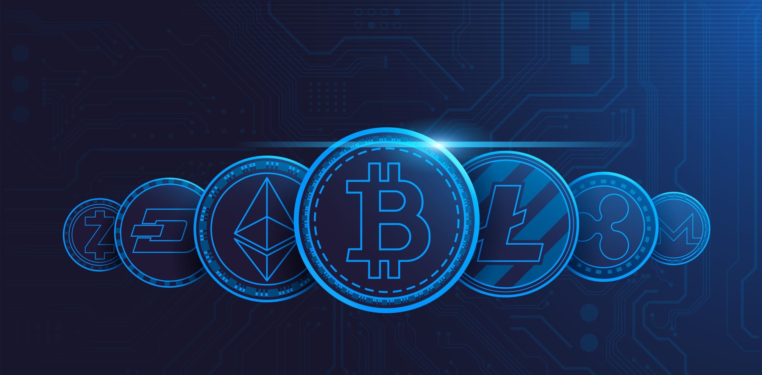 رؤى الاستثمار في العملات المشفرة: أهمية التنويع